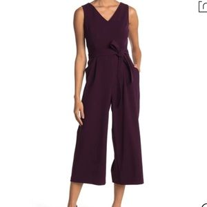 V-neck Sleeveless Wide Leg Jumpsuit In Aubergine
